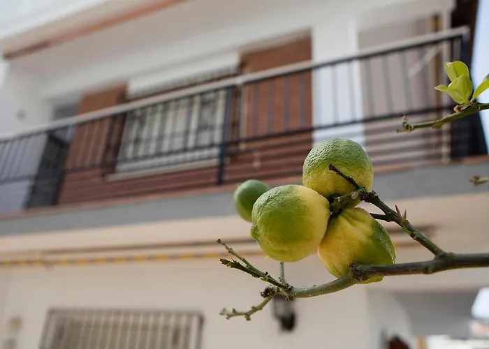 Villa Carmen